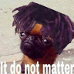 Meet your Posher, Bradley